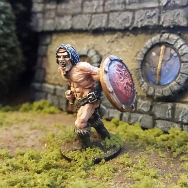 Barbarian Brigand