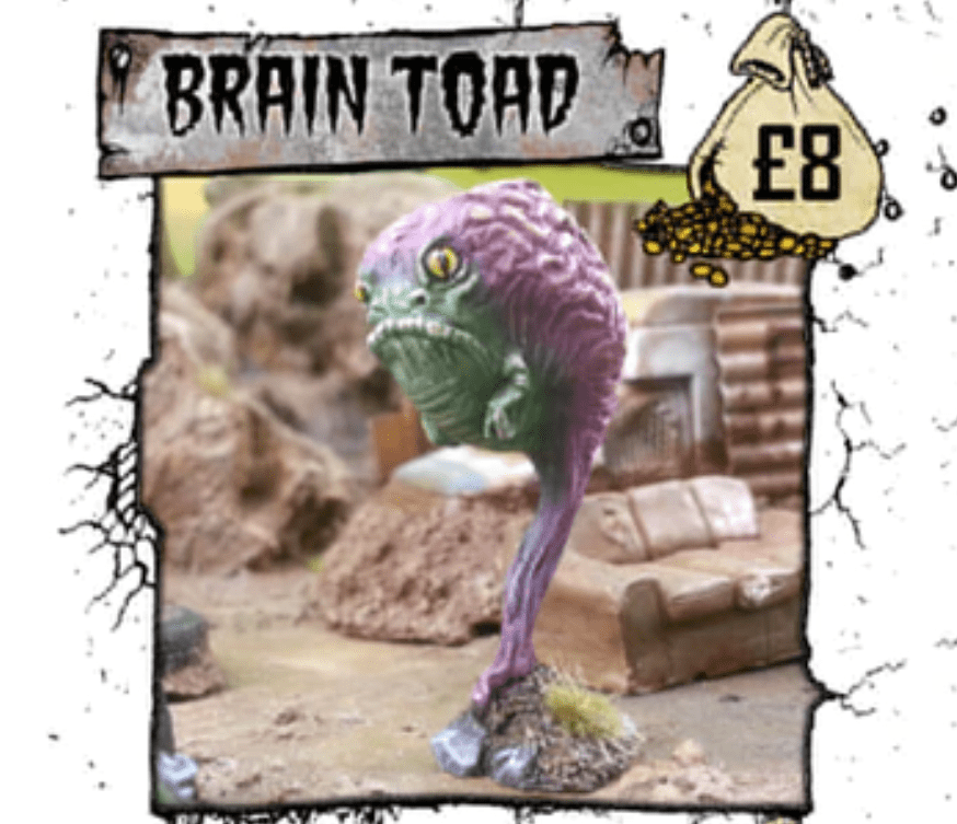 Brain Toad